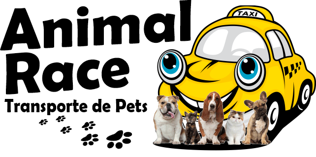 Animal Race Transporte de Pets